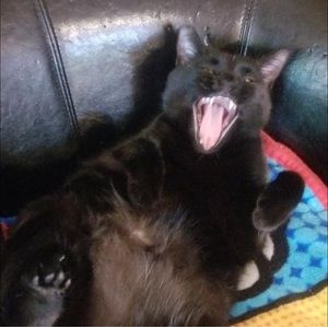 Meet your Posher, Dave